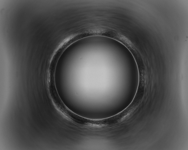 X0000087750726200705071112