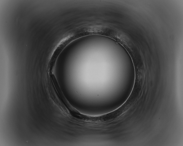 X0000087750727200705071112