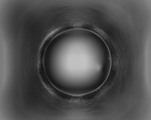 X0000087750728200705071112