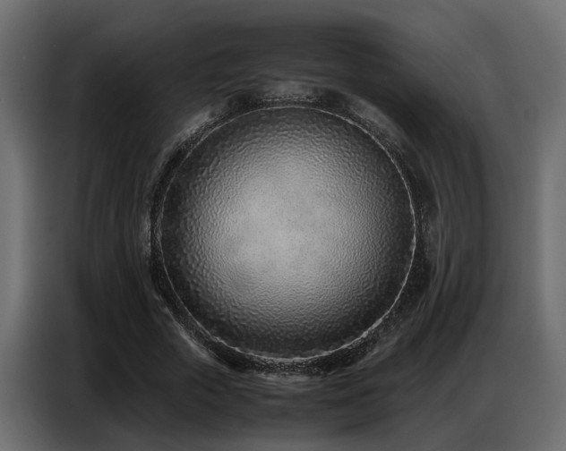 X0000087750729200705071112