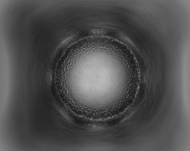 X0000087750733200705071112