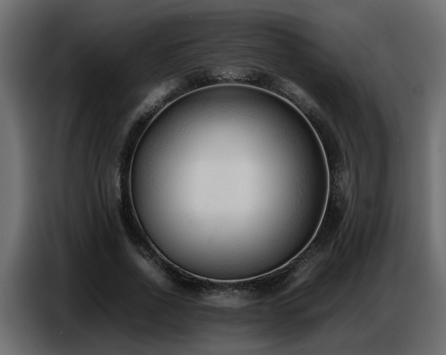 X0000087750734200705071112