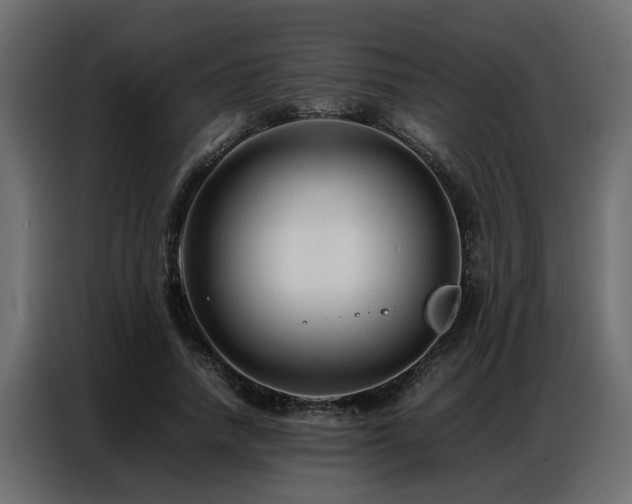 X0000087750738200705071113