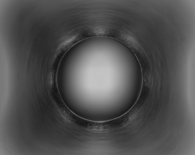 X0000087750740200705071113