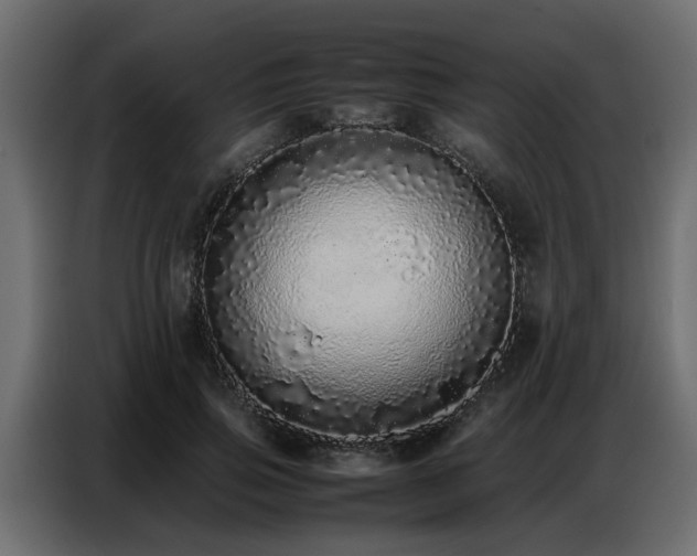 X0000087750741200705071113
