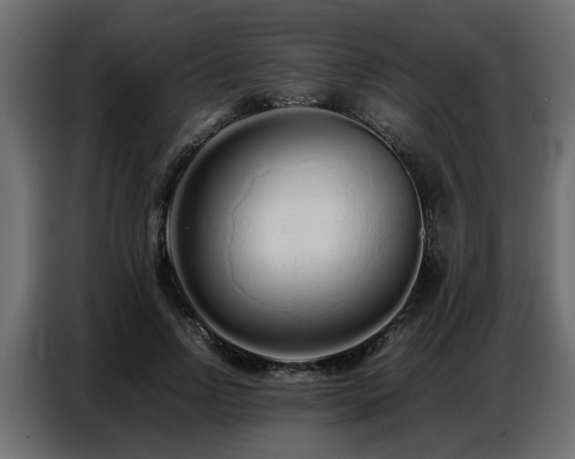 X0000087750742200705071113