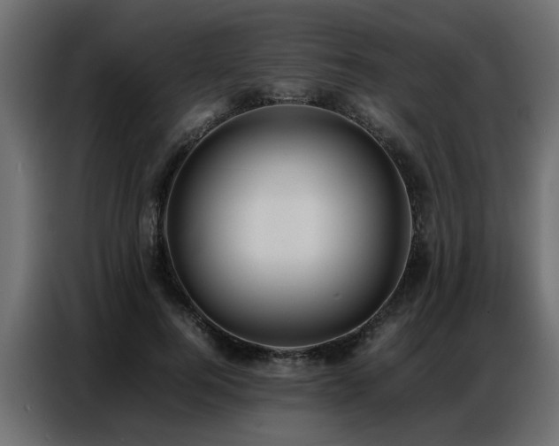 X0000087750744200705071113