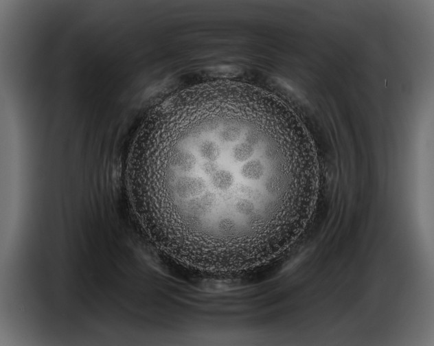 X0000087750745200705071113