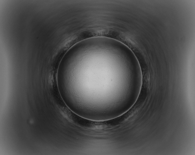 X0000087750746200705071113