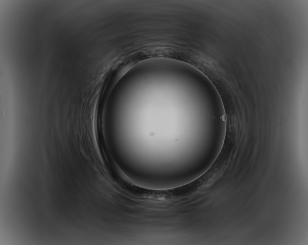X0000087750751200705071113