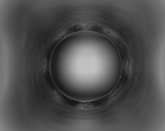 X0000087750752200705071113
