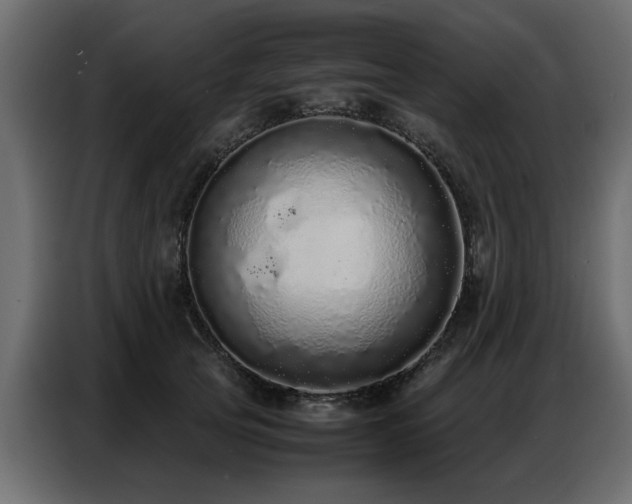 X0000087750753200705071113
