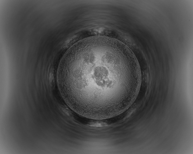 X0000087750754200705071113