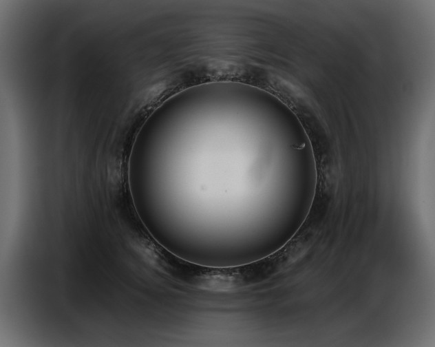 X0000087750756200705071113