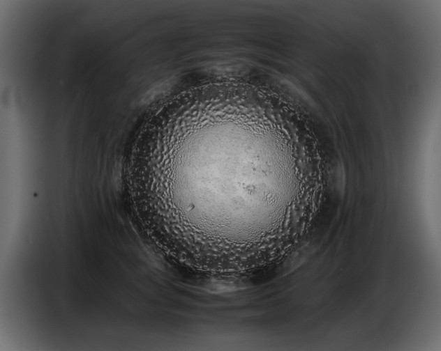 X0000087750757200705071113