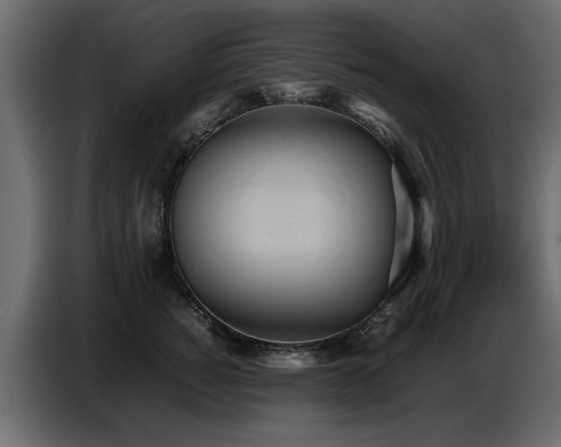 X0000087750760200705071113