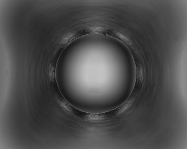 X0000087750766200705071113