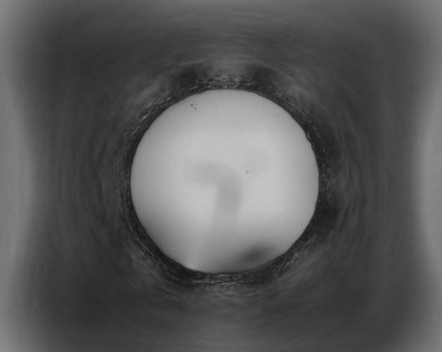 X0000087750769200705071112