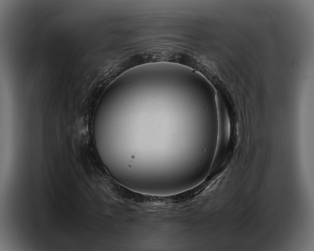 X0000087750771200705071112