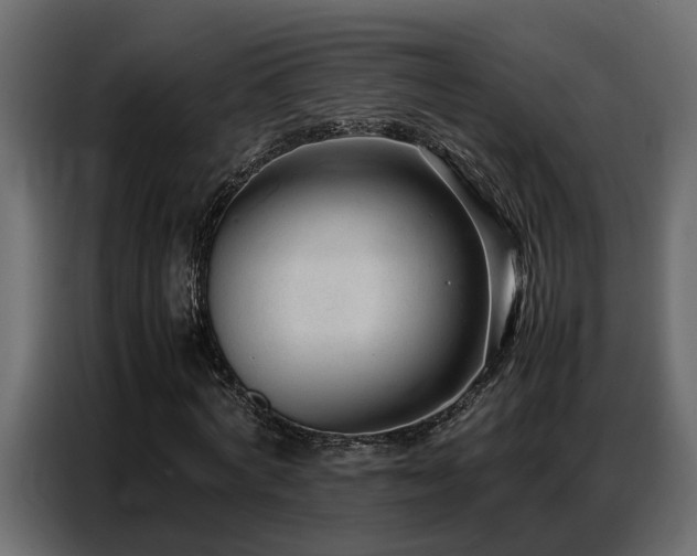 X0000087750772200705071112