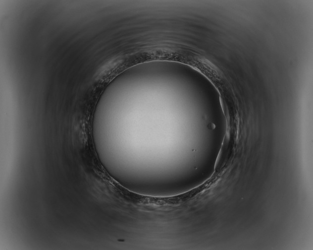 X0000087750774200705071112