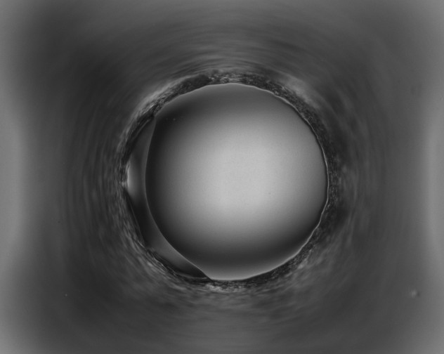 X0000087750775200705071112