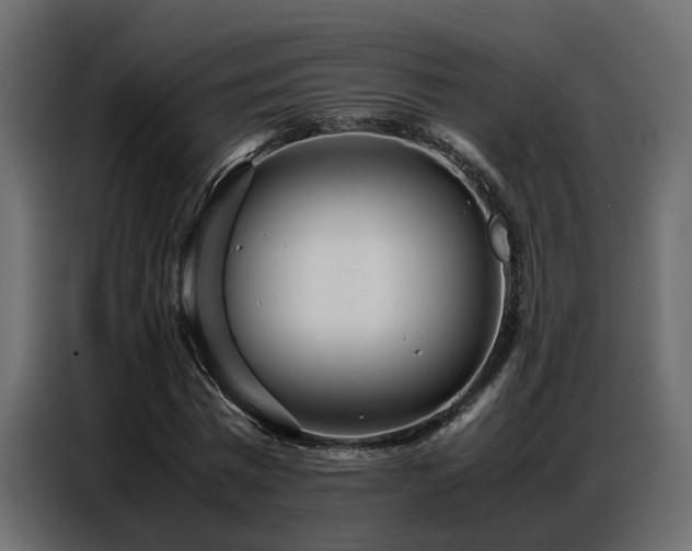 X0000087750777200705071112
