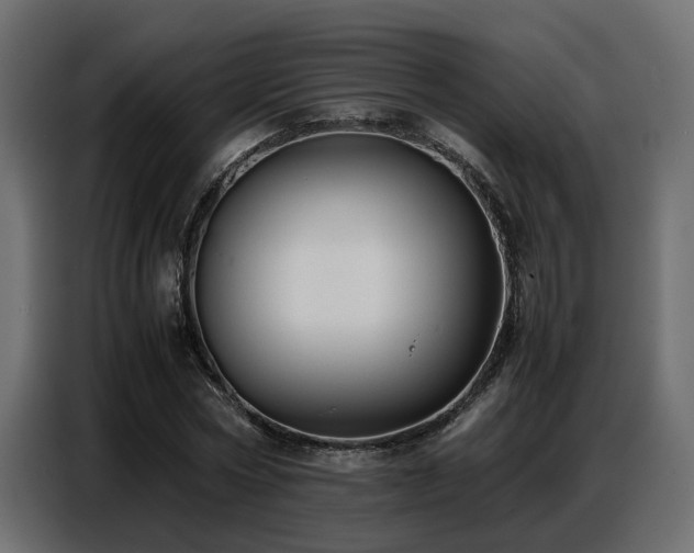 X0000087750778200705071112