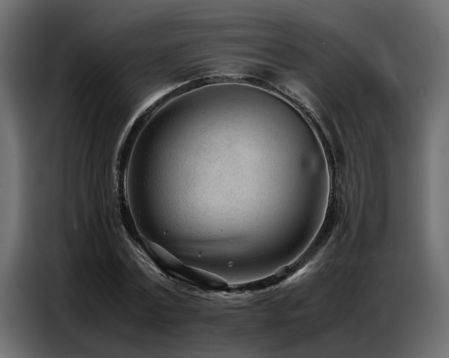 X0000087750779200705071112