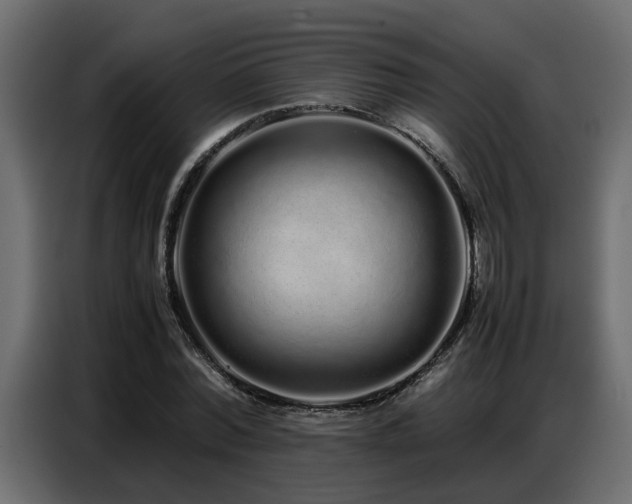 X0000087750780200705071112