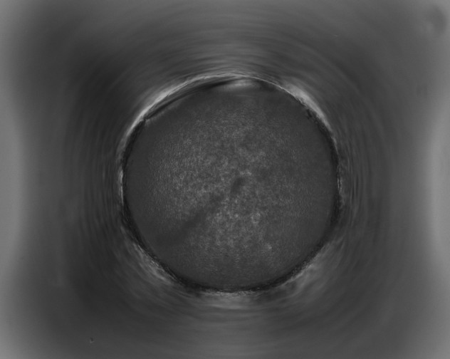 X0000087750781200705071112
