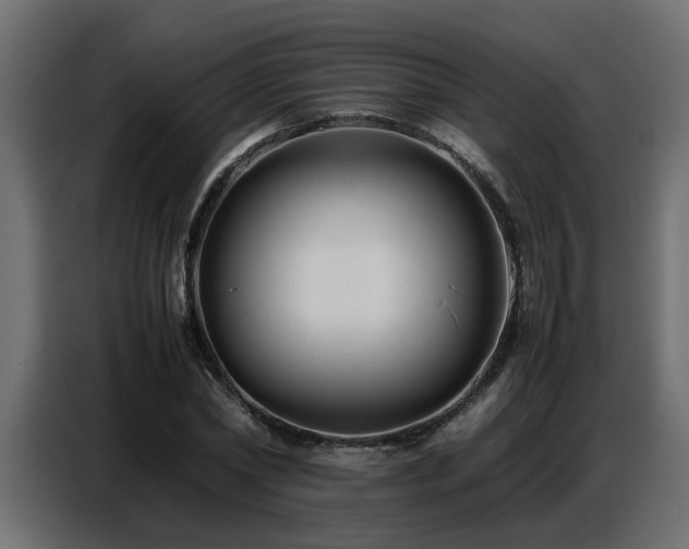 X0000087750782200705071112