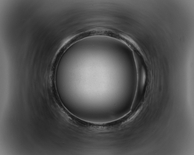 X0000087750783200705071112