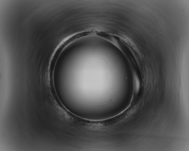 X0000087750784200705071112