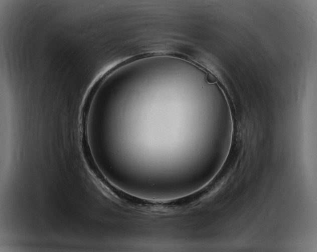 X0000087750787200705071112