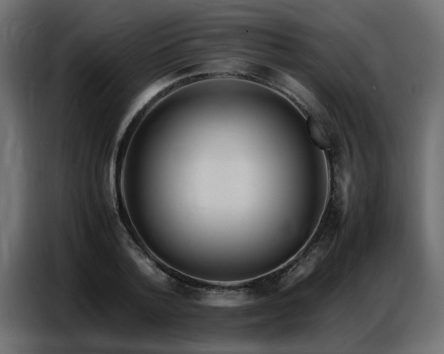 X0000087750788200705071112