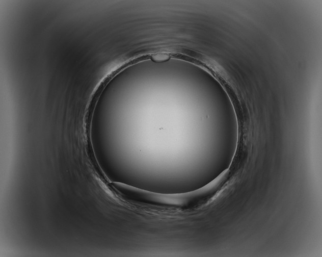 X0000087750789200705071112