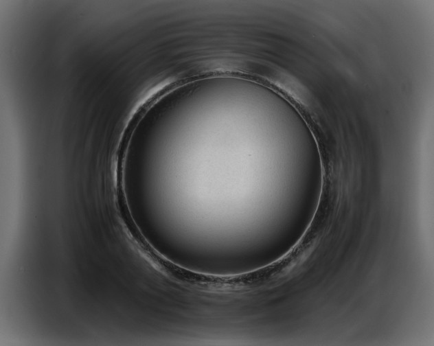 X0000087750790200705071112