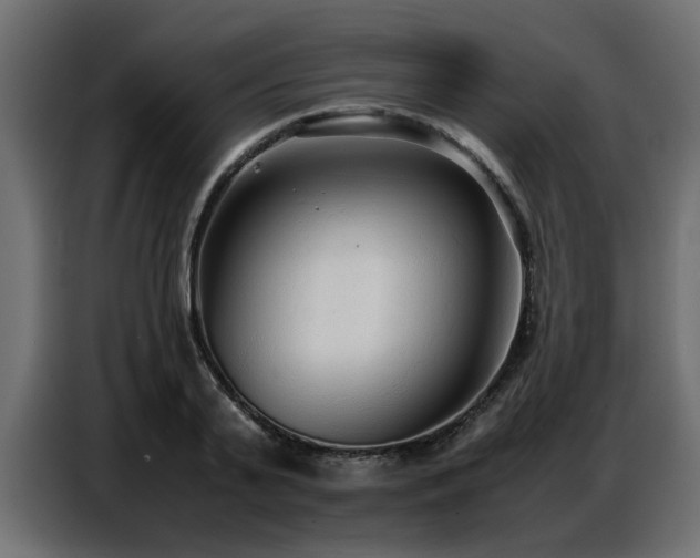 X0000087750791200705071112