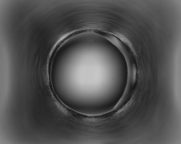 X0000087750792200705071112