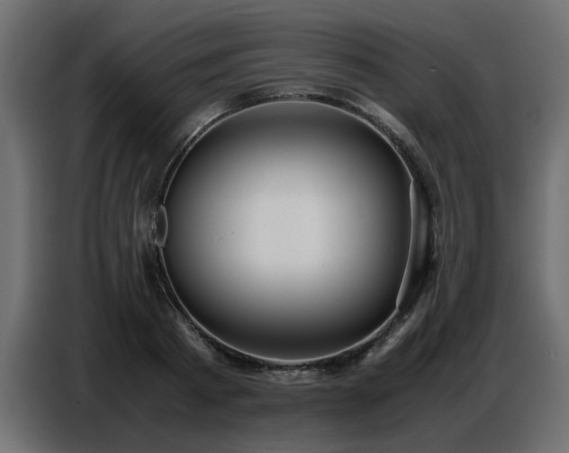 X0000087750793200705071112