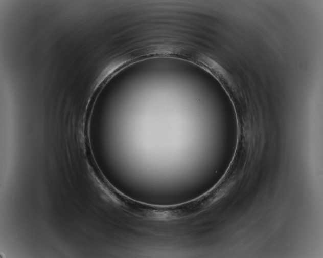 X0000087750794200705071112