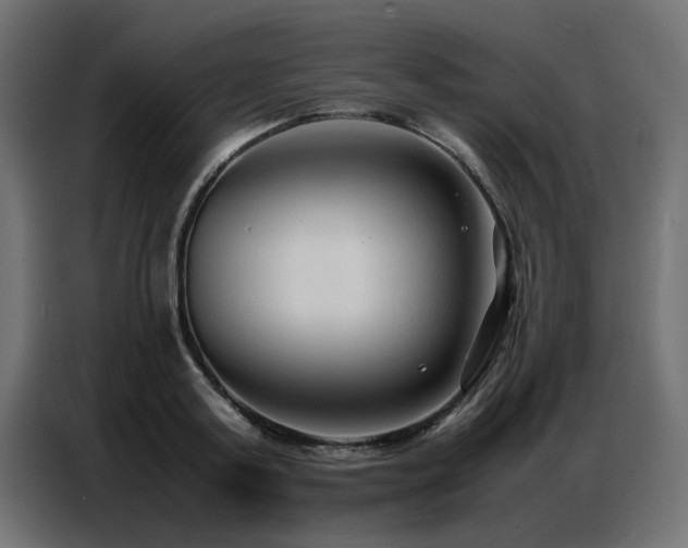X0000087750795200705071112