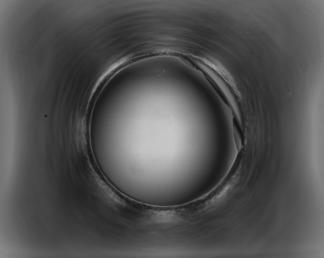 X0000087750798200705071112