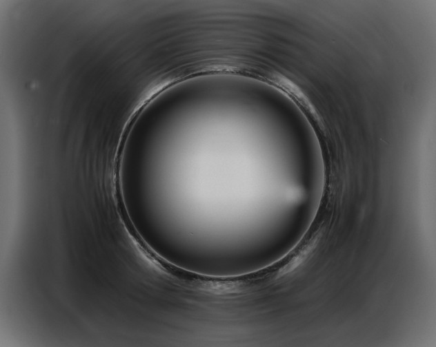 X0000087750802200705071112