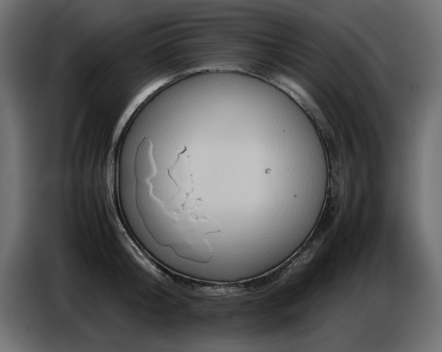 X0000087750804200705071112