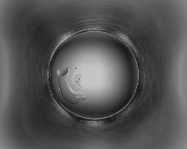 X0000087750805200705071112