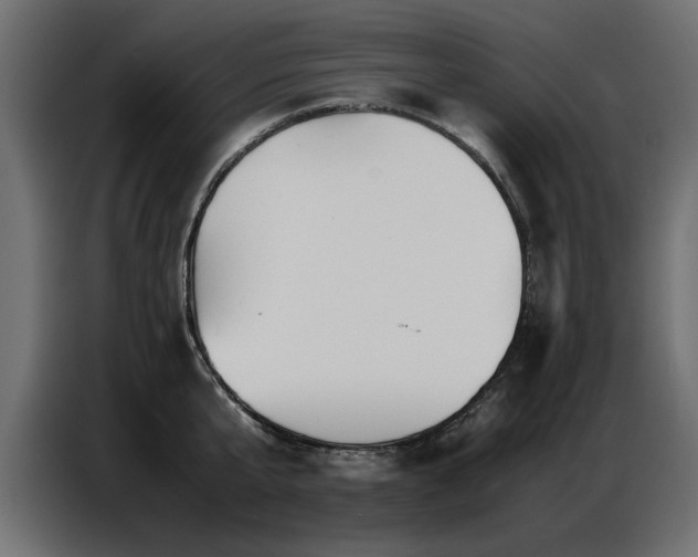 X0000087750807200705071112
