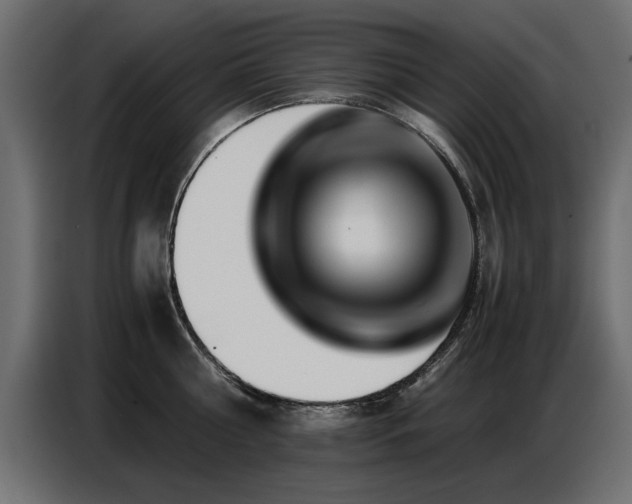 X0000087750810200705071112