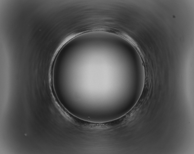X0000087750811200705071112